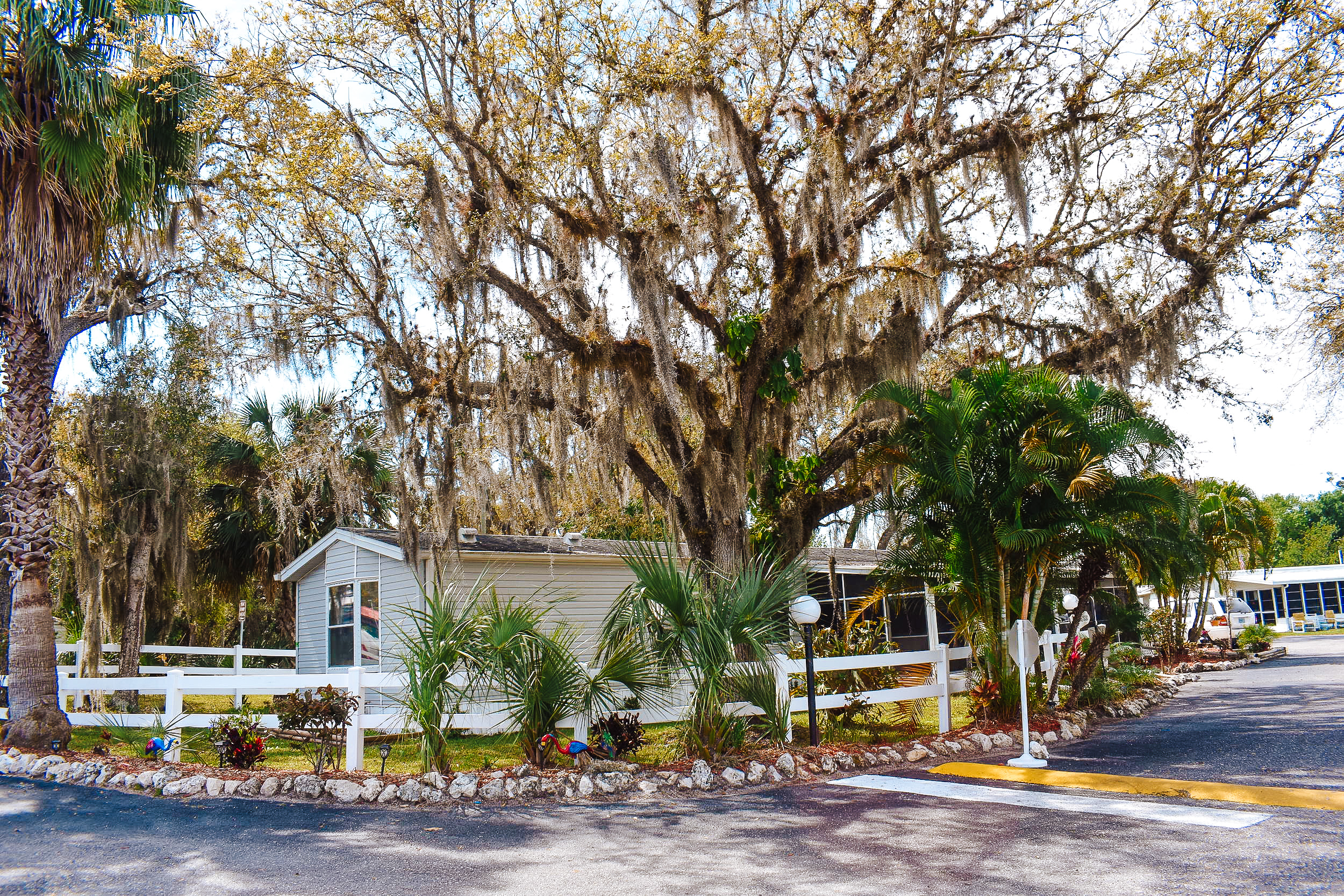 Gallery Lettuce Lake RV Park