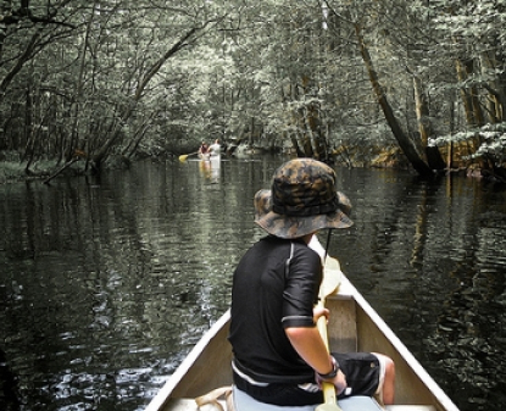 Our Area Lettuce Lake RV Park