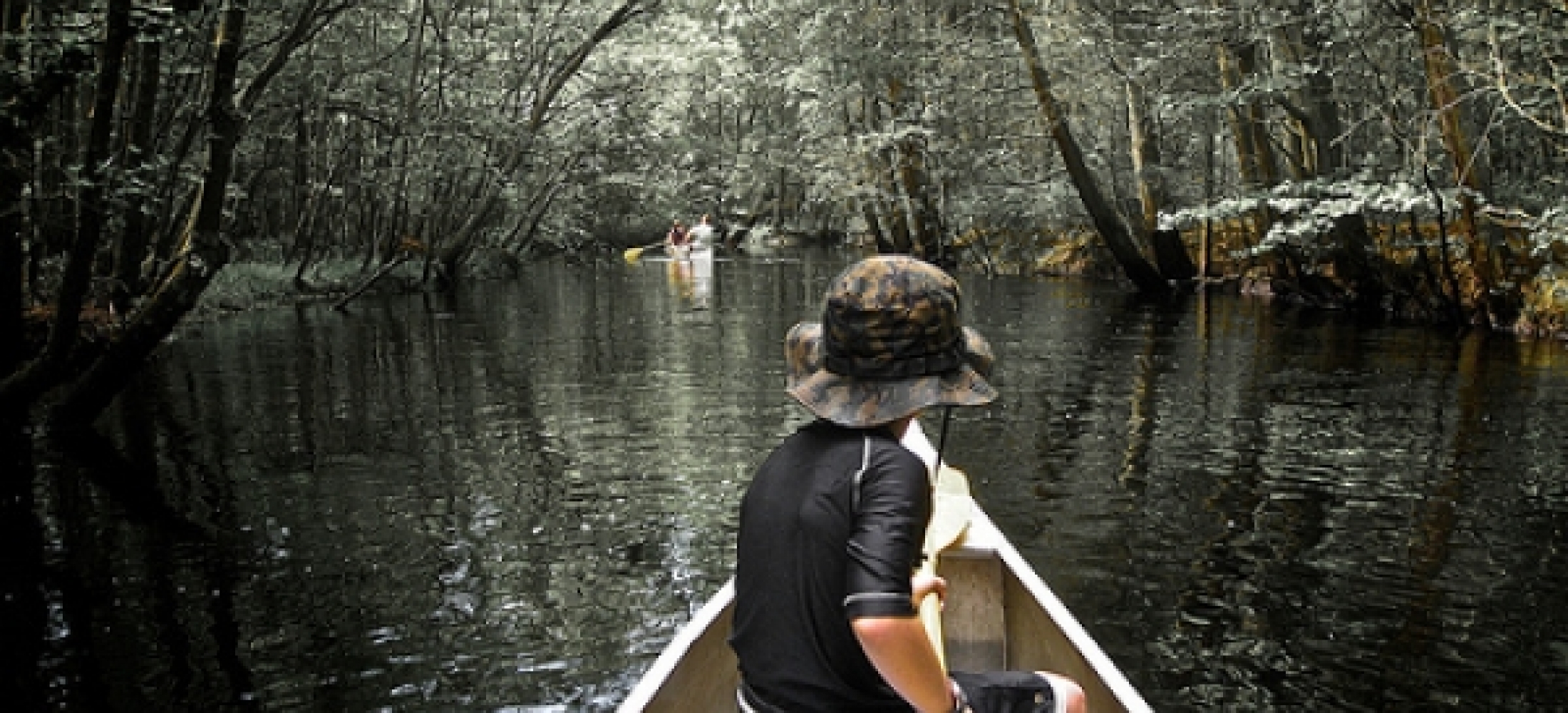 Peace River Canoeing Post Lettuce Lake RV Park