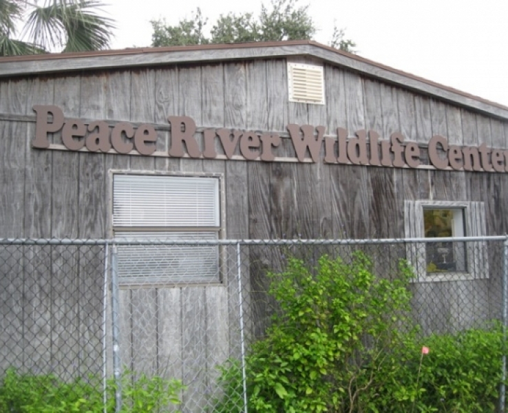 Our Area Lettuce Lake RV Park