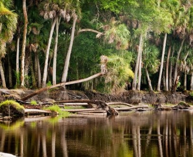 Our Area Lettuce Lake RV Park